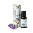 terisk Lavendel olie - kologisk - 20 ml