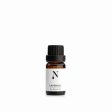 terisk Lavendelolie - 10 ml.