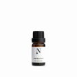 terisk Pebermynteolie - 10 ml.