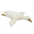 �kologisk varmepude bamse - Stor G�s - Hvid